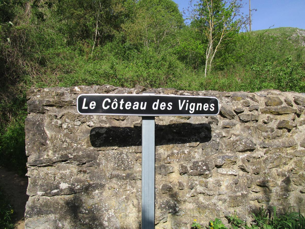 Gite Le Bourgneuf Fresnay-sur-Sarthe Exteriér fotografie
